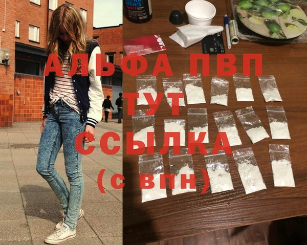крисы Алзамай